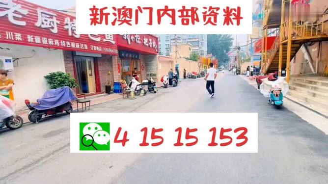 新澳天天免费好彩六肖,精选资料解析大全