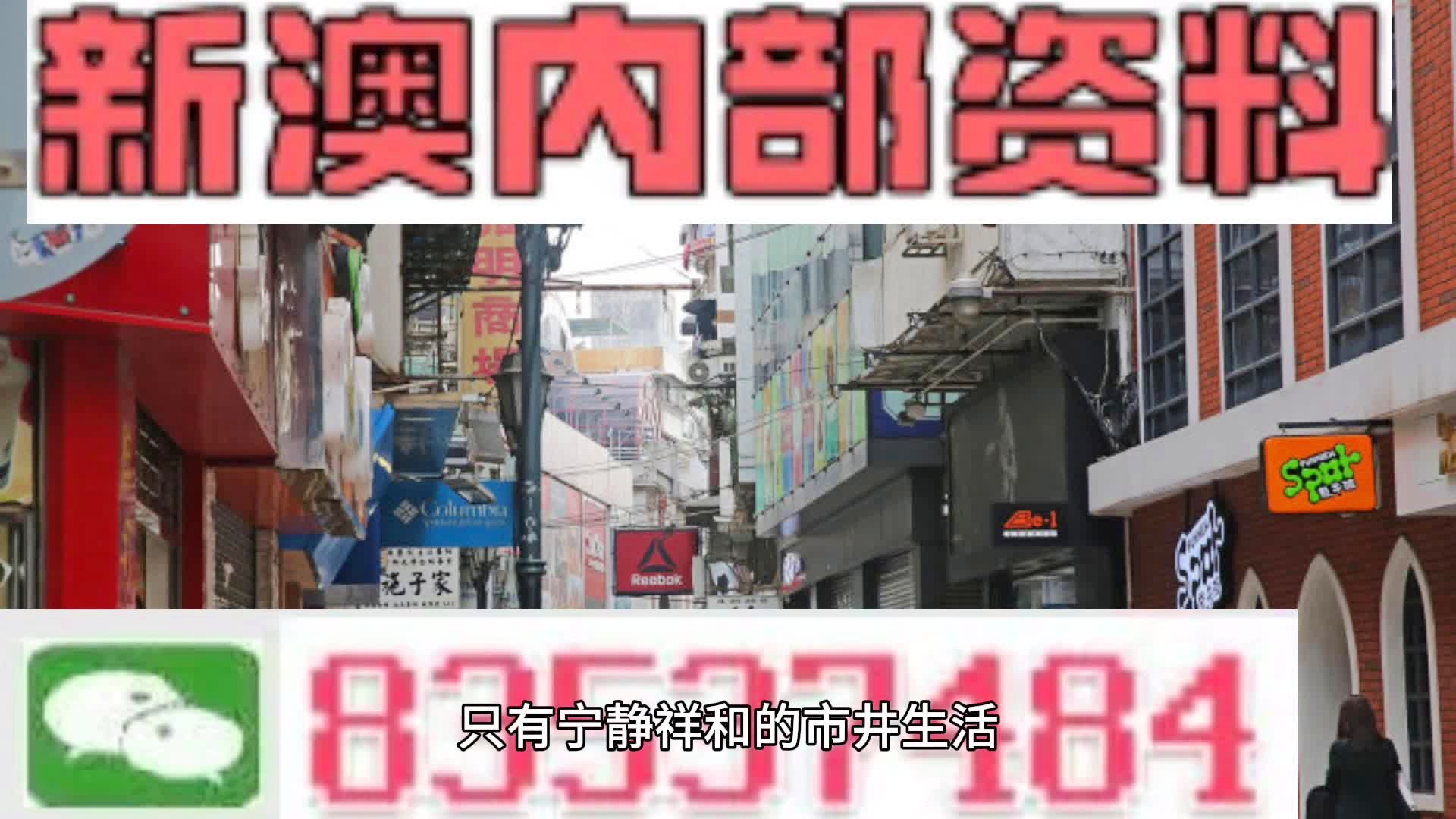 2025新澳门资料,精选资料解析大全
