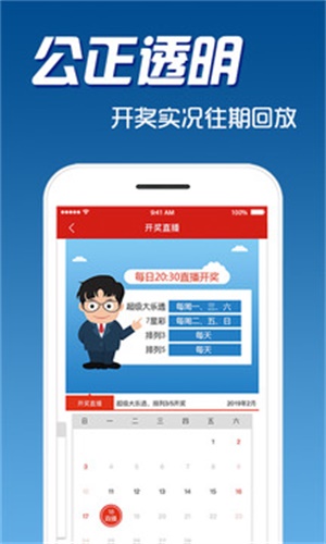 二四六天天彩免费资料查询,精选资料解析大全