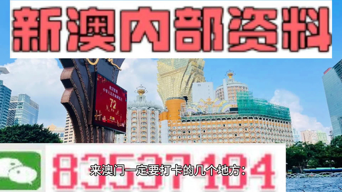 2025新澳门正版免费资木车,精选资料解析大全