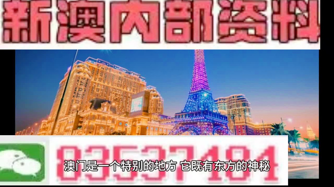 新澳门最精准正最精准龙门,精选资料解析大全