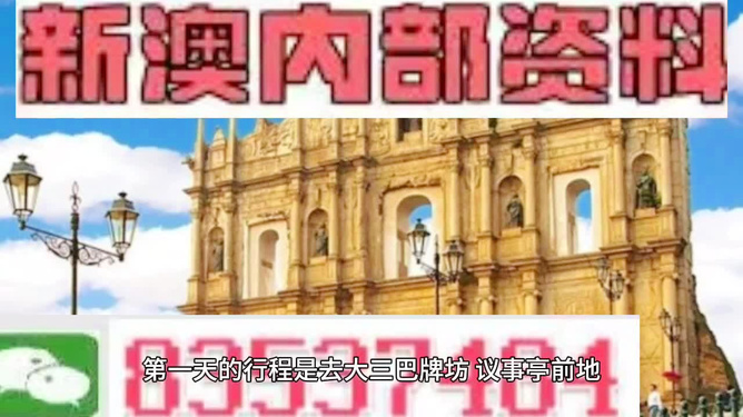 新澳门资料精准网站,精选资料解析大全