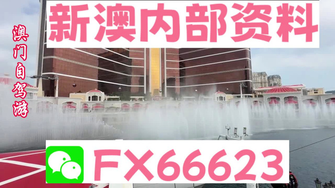 新澳内部一码精准公开,精选资料解析大全