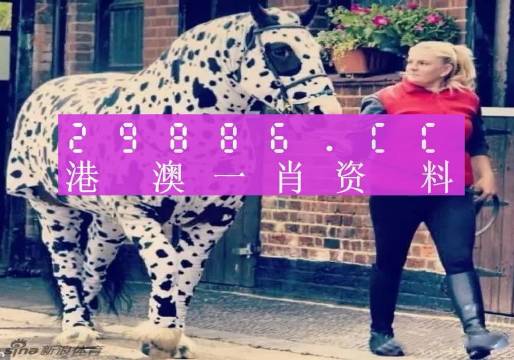 澳门王中王一肖一特一中,精选资料解析大全
