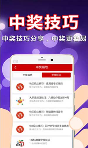 4949开奖免费资料澳门,澳门4949开奖免费资料的重要性及其背后的故事