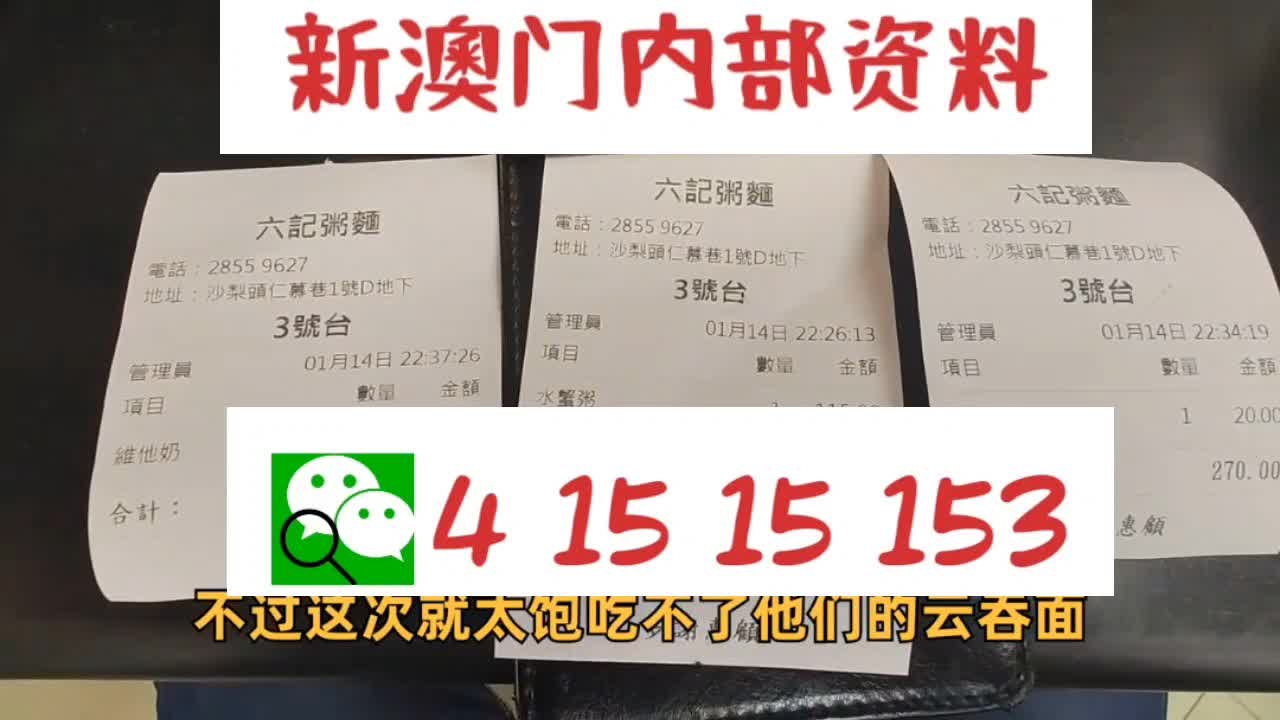 王中王资料大全枓大全,王中王资料大全与枓大全，深度解析与综述