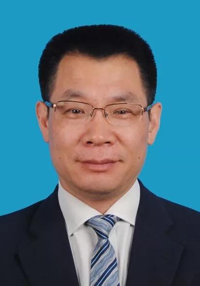 2O24新奥正版资料免费提供,探索未来，2024新奥正版资料的免费共享时代