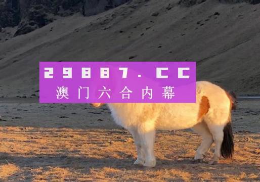 新澳门六开彩免费网站,新澳门六开彩免费网站，探索与理解