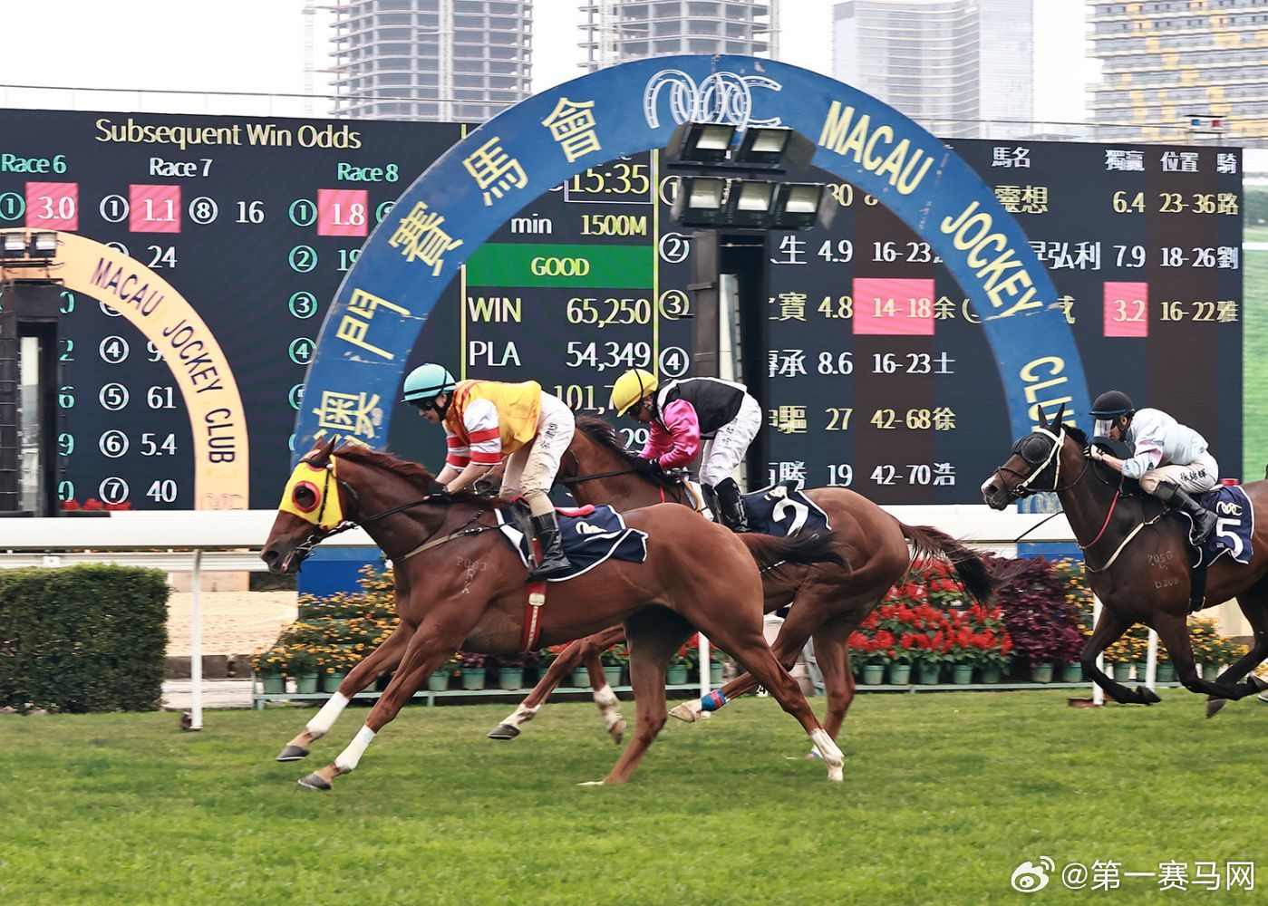 2025今晚新澳门马出什么,探索未来之门，新澳门马会预测与未来展望（关键词，今晚新澳门马出什么）
