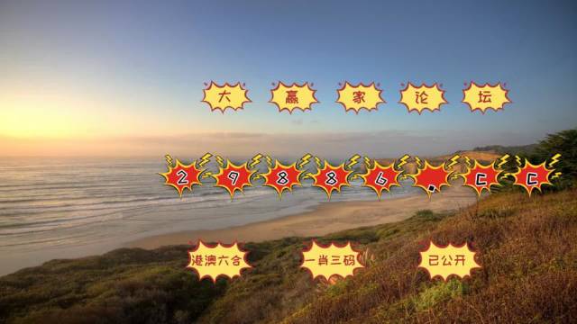 新澳门二四六天天开奖,新澳门二四六天天开奖，探索背后的奥秘与影响