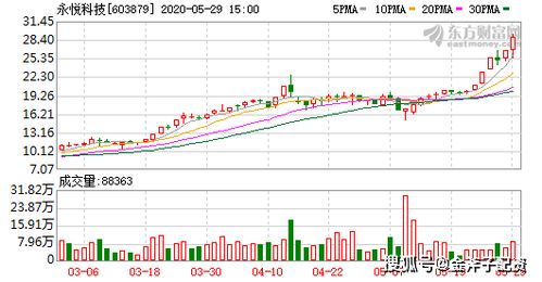 2025新澳今晚资料66期,探索未来，新澳今晚资料第66期展望与解析（关键词，2025）