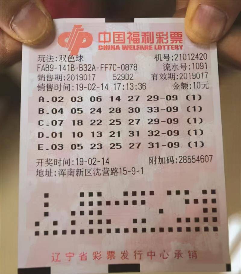 天下彩与天空彩票资料,天下彩与天空彩票资料，探索彩票世界的奥秘