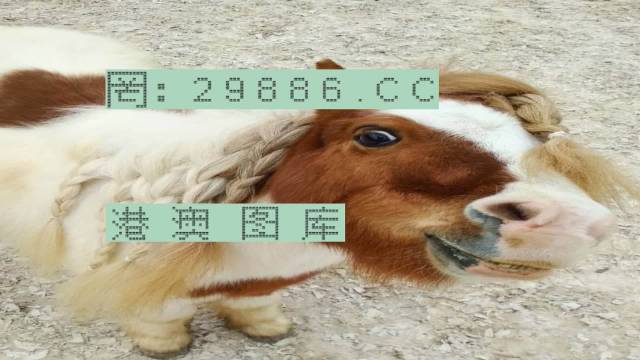 澳门内部精准免费资料网址,澳门内部精准免费资料网址，探索与解析