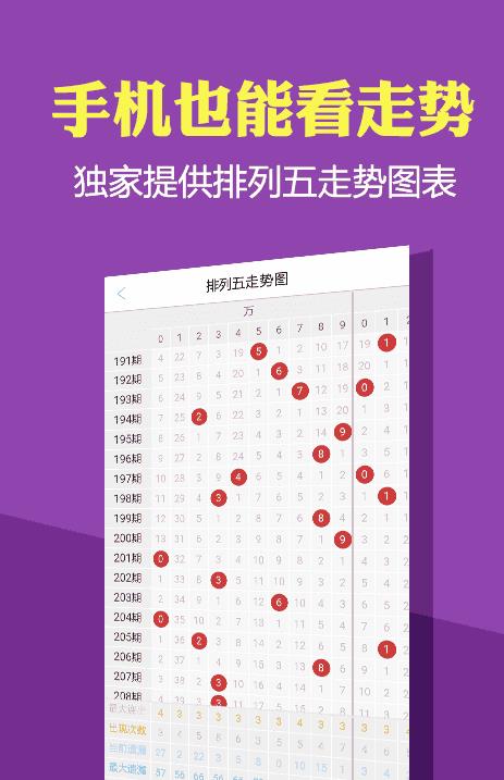 2025期澳门正版免费资料大全,澳门正版免费资料大全 2025期，探索与揭秘