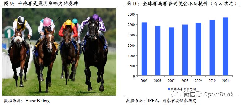 2025澳门买马最准网站,澳门赛马，探索最准确的预测网站到2025年