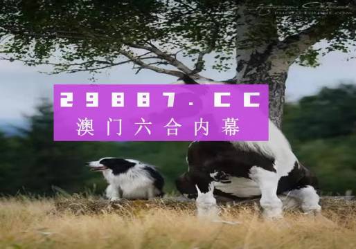 澳门六开彩天天正版资料2023年,澳门六开彩天天正版资料与未来的探索（2023年）