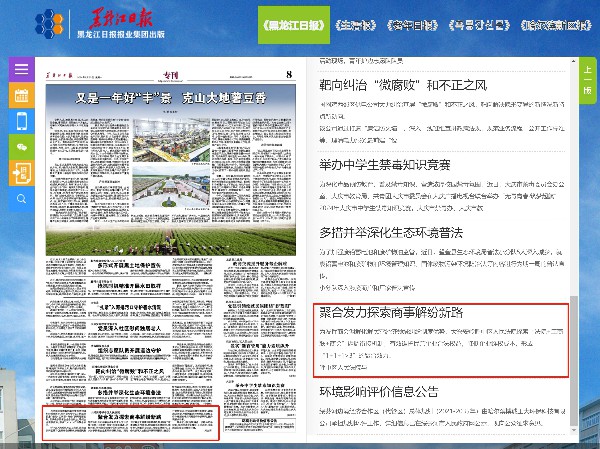 新奥马免费资料大全,新奥马免费资料大全，深度探索与理解
