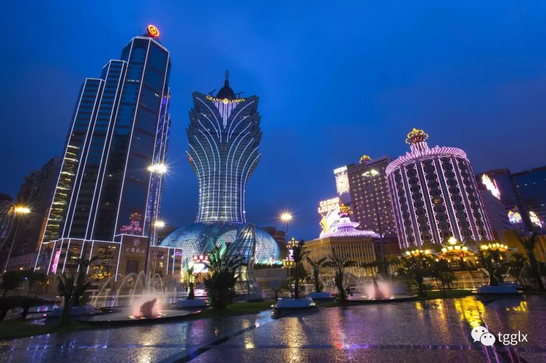 2025澳门天天开好彩大全香港,澳门与香港，探索未来的繁荣与活力——2025天天开好彩的展望