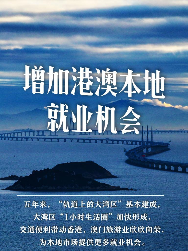 新澳门精准精准龙门,新澳门精准精准龙门，探索与解读