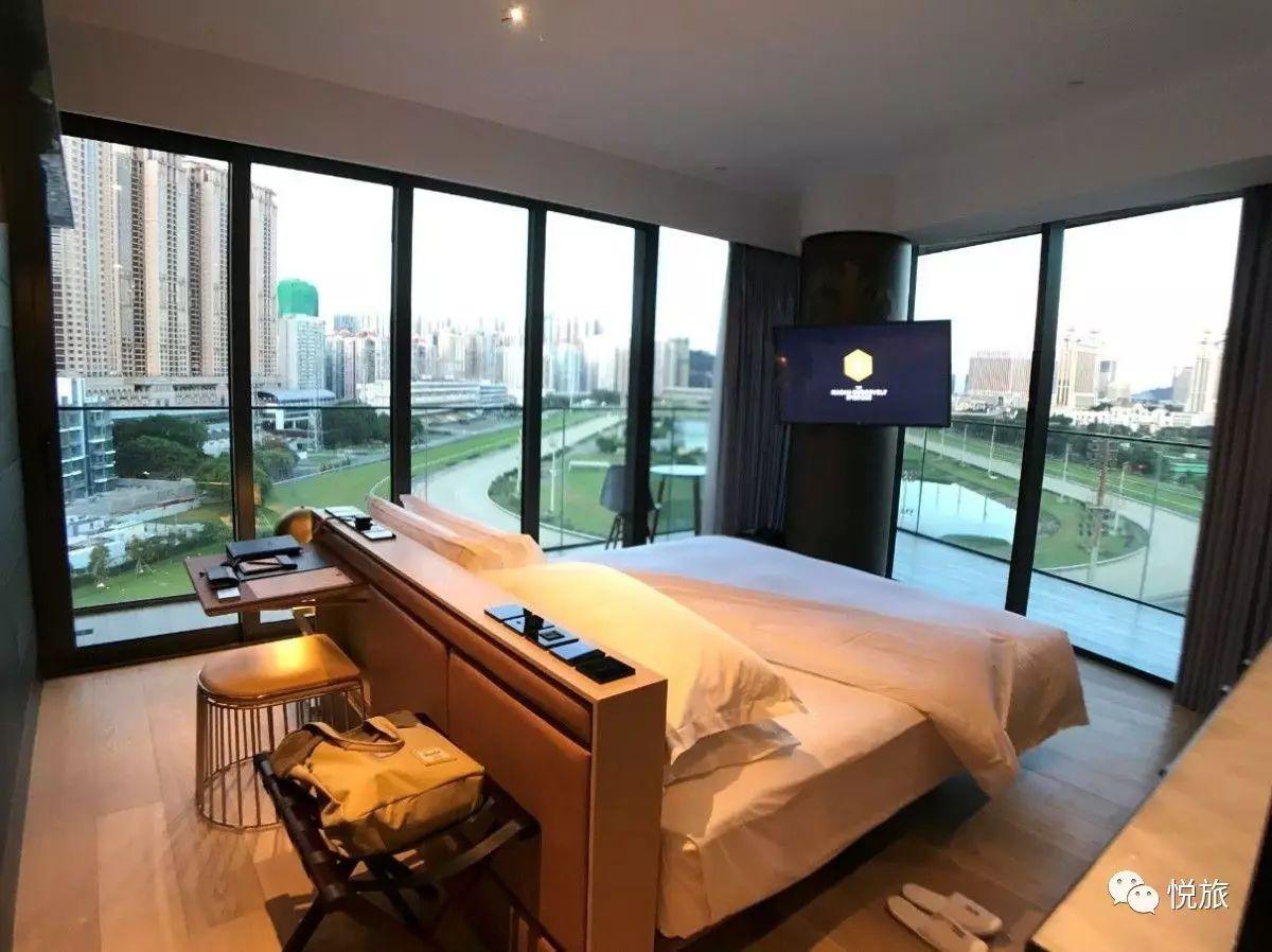 今晚澳门马出什么特马,今晚澳门马会出什么样的特马？探索赛马运动的神秘魅力与预测机制