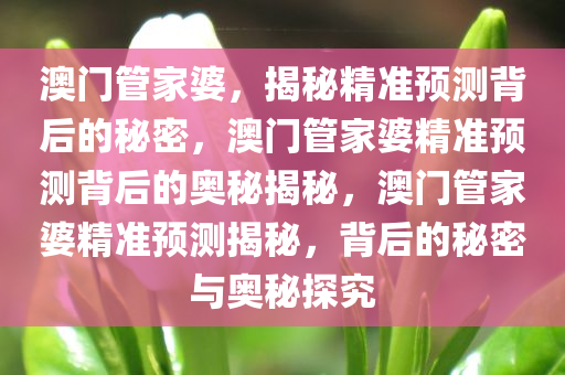 新澳门管家婆一句,新澳门管家婆一句，揭示背后的智慧与策略