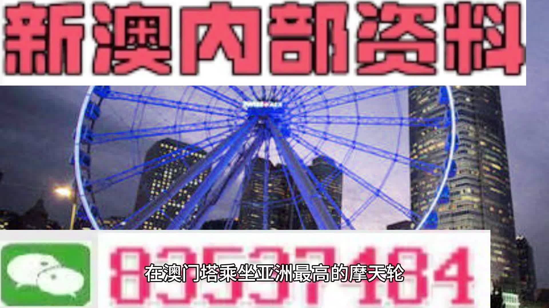 新奥门免费全年资料查询,新澳门免费全年资料查询，探索与解析