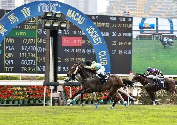 2022澳门特马今晚开奖现场实况,澳门特马开奖现场实况——见证历史时刻的2022年今晚开奖现场纪实