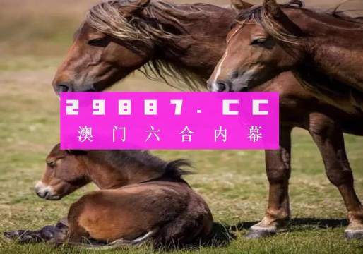993994www跑狗玄机,揭秘993994www跑狗玄机——探寻背后的真相