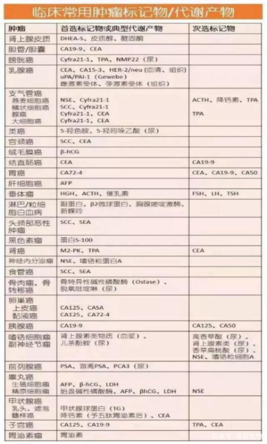 最精准的三肖三码资料,最精准的三肖三码资料解析