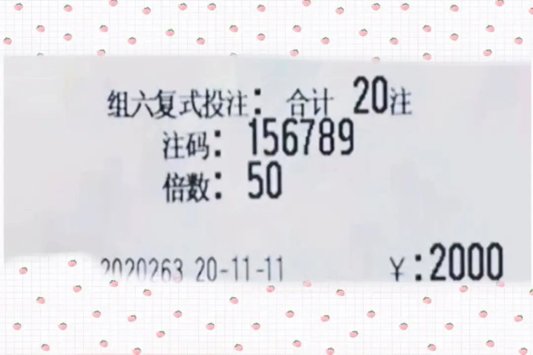 澳门今晚开奖结果2023年,澳门今晚开奖结果2023年，探索彩票背后的故事